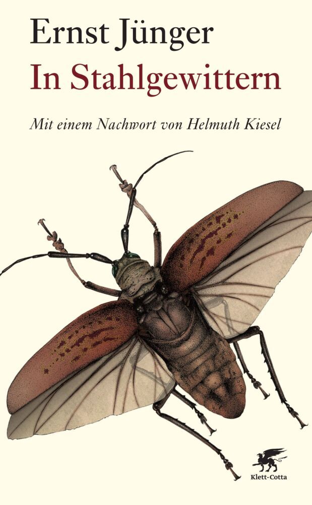 In Stahlgewittern (Ernst Jünger)
