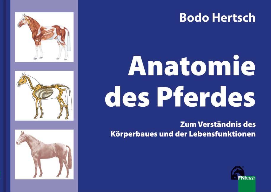 Anatomie des Pferdes (Bodo Hertsch)
