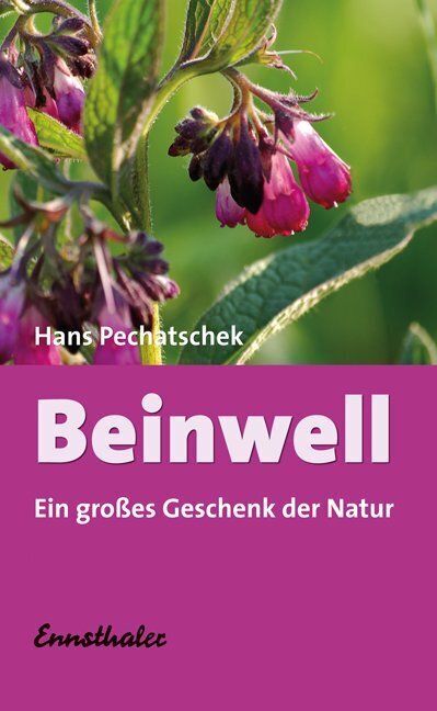 Beinwell (Hans Pechatschek)