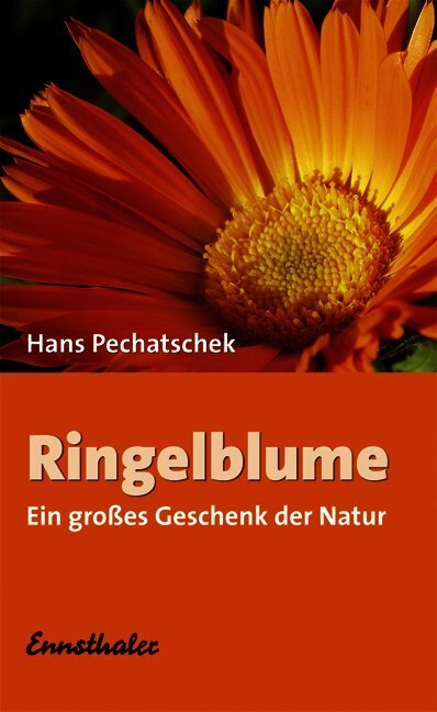 Ringelblume (Hans Pechatschek)
