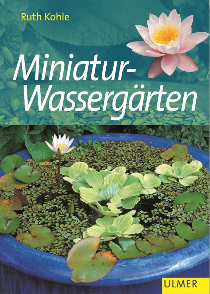 Miniatur-Wassergärten (Ruth Kohle)