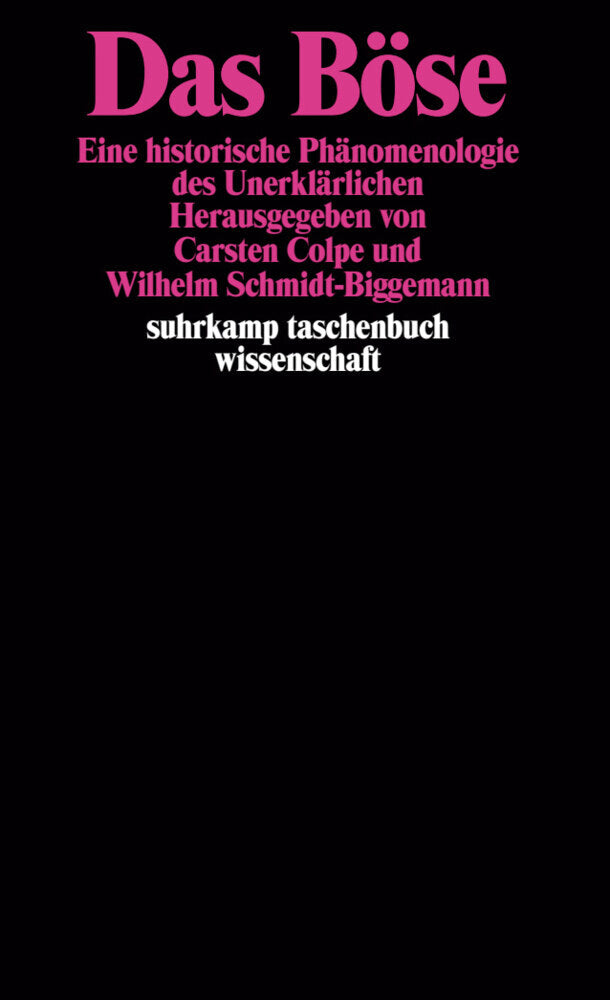 Das Böse (Wilhelm Schmidt-Biggemann)