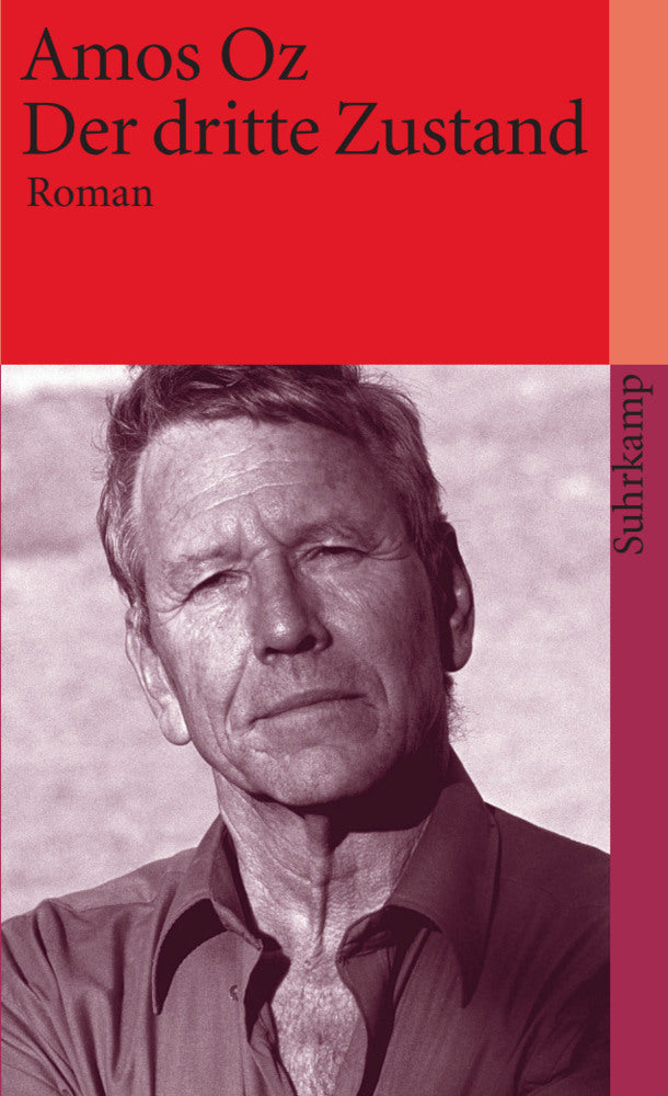 Der dritte Zustand (Amos Oz)