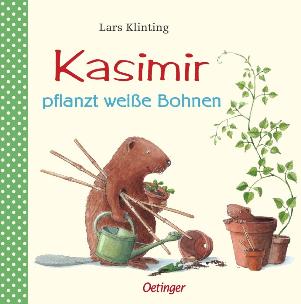 Kasimir pflanzt weiße Bohnen (Lars Klinting)