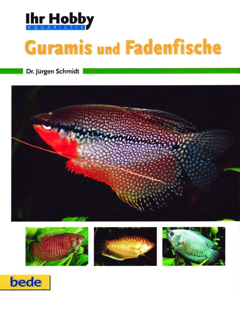 Ihr Hobby Guramis und Fadenfische (Jürgen Schmidt)