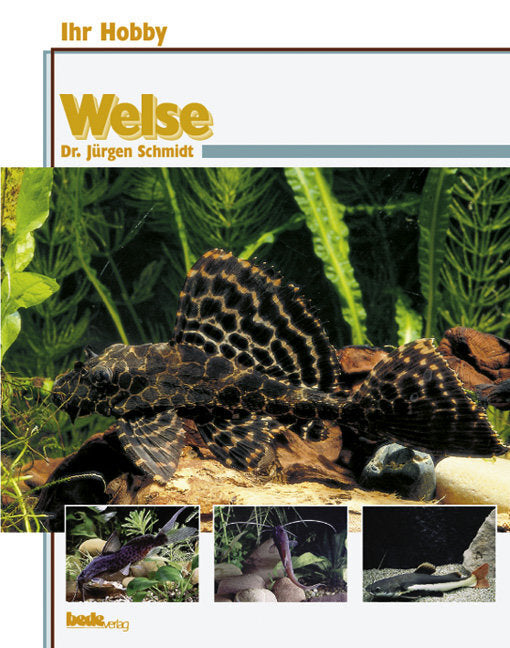 Welse (Jürgen Schmidt)