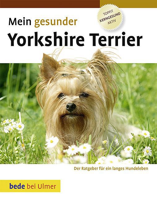 Mein gesunder Yorkshire Terrier (Lowell Ackerman)