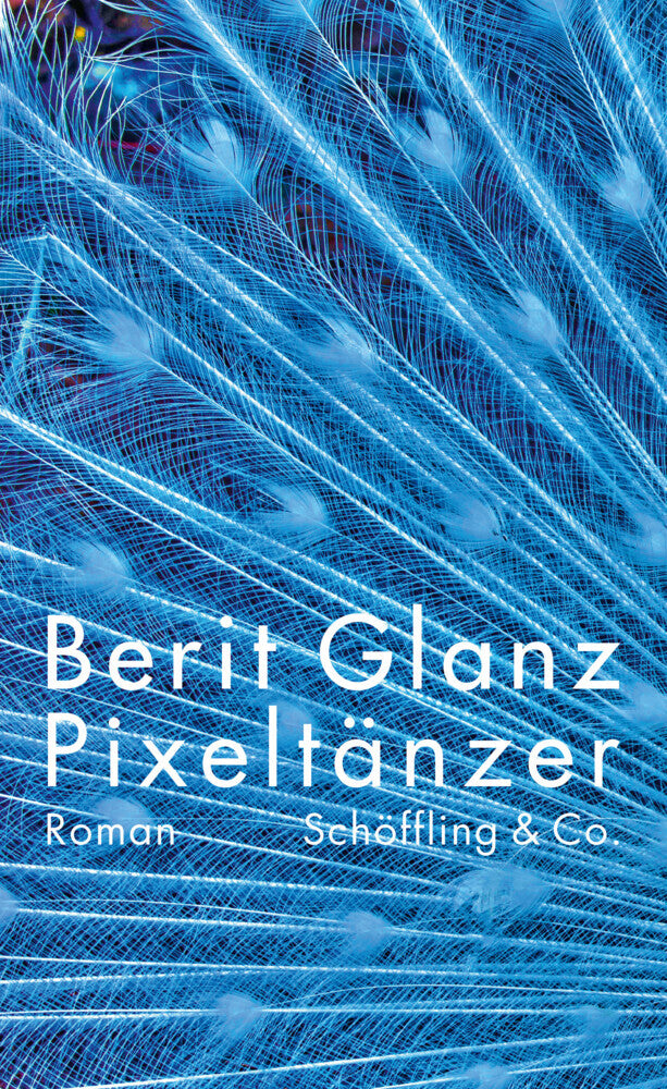 Pixeltänzer (Berit Glanz)