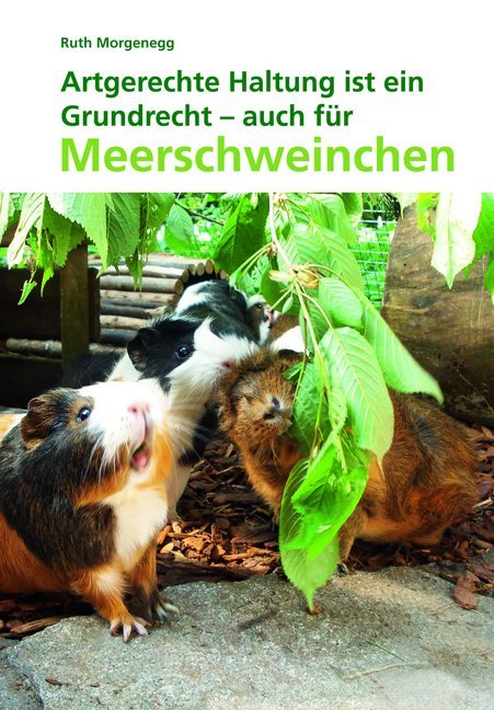 Artgerechte Haltung ist ein Grundrecht - auch für Meerschweinchen (Ruth Morgenegg)