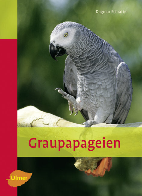 Graupapageien (Dagmar Schratter)