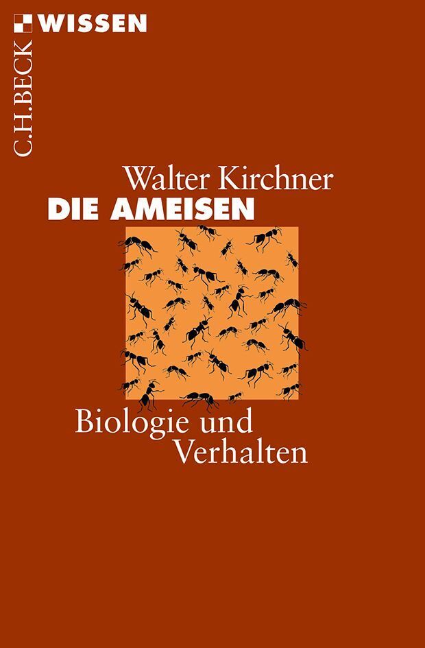 Die Ameisen (Walter Kirchner)