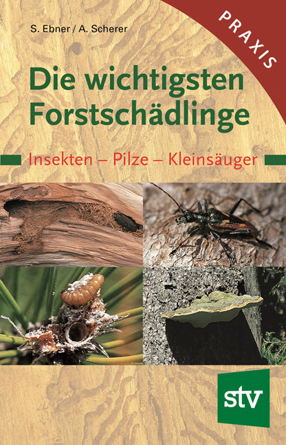 Die wichtigsten Forstschädlinge (Stefan Ebner)