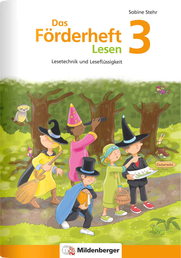 Das Förderheft Lesen 3 (Sabine Stehr)