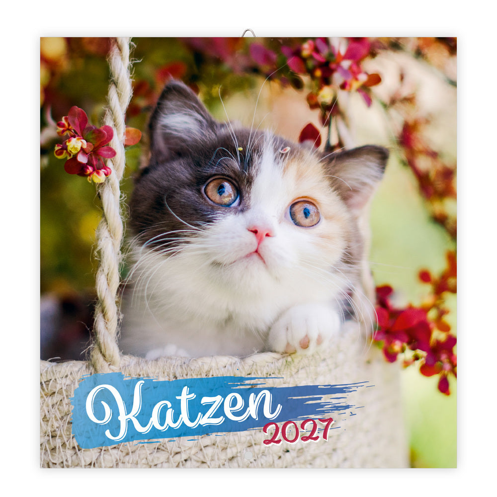 TRÖTSCH - Broschürenkalender Katzen 2027 (Trötsch Verlag Gmbh & Co.Kg)