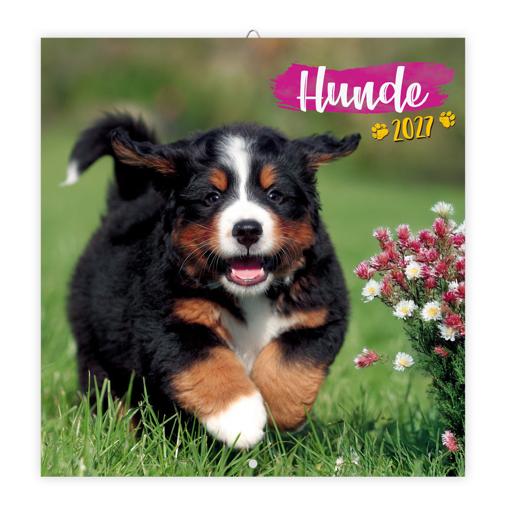 TRÖTSCH - Broschürenkalender Hunde 2027 (Trötsch Verlag Gmbh & Co.Kg)