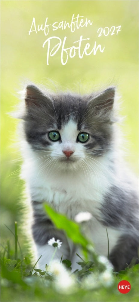 Katzen slim - Auf sanften Pfoten Kalender 2027
