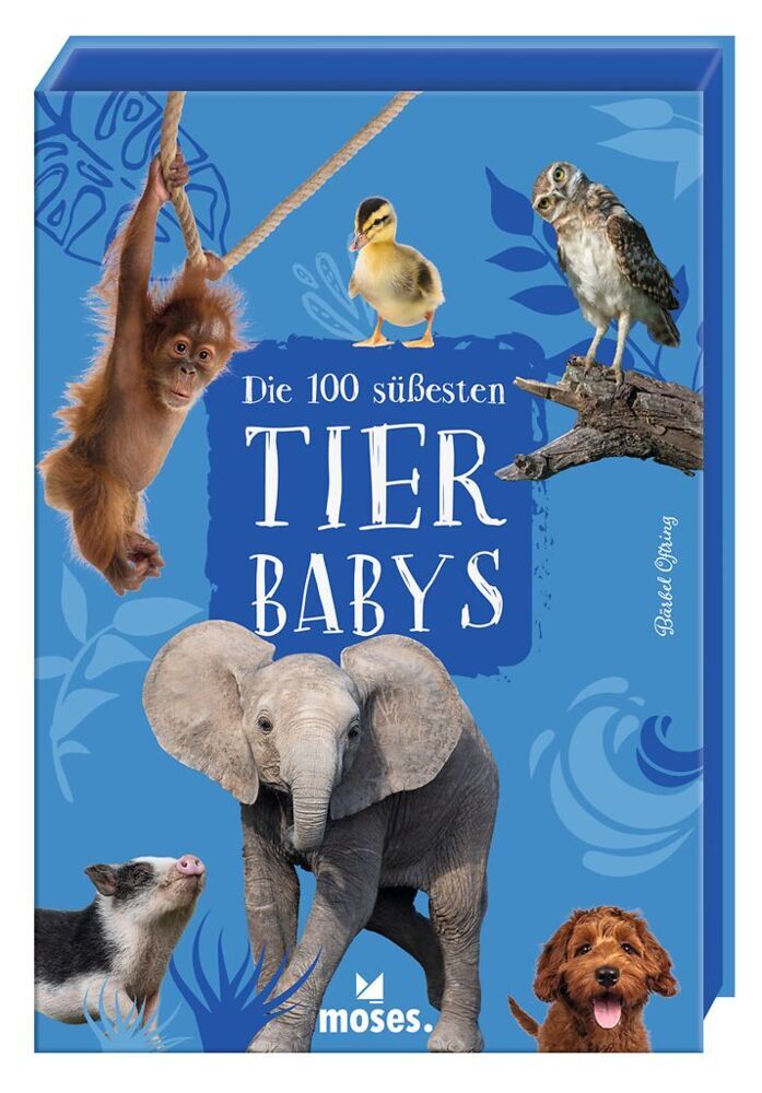 Die 100 süßesten Tierbabys (Bärbel Oftring)