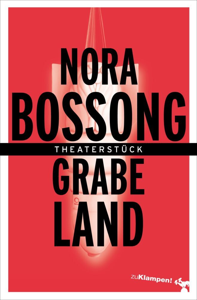 Grabeland (Nora Bossong)