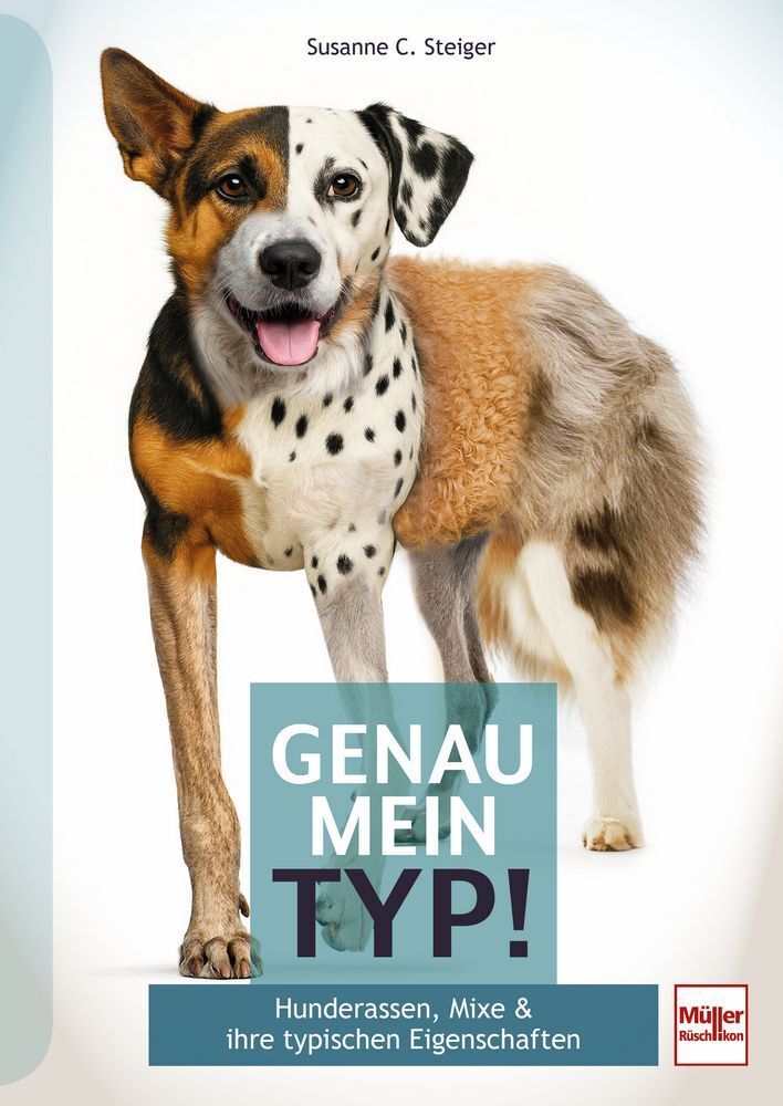 Genau mein Typ! (Susanne C. Steiger)