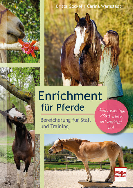 Enrichment für Pferde (Britta Gockel)