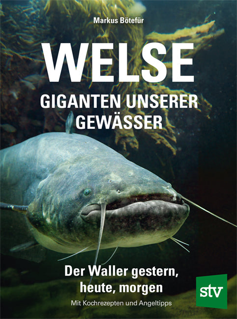 Welse - Giganten unserer Gewässer (Markus Bötefür)