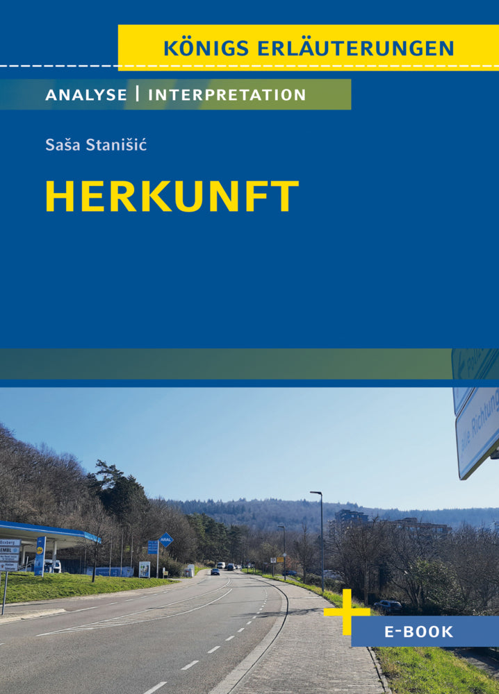 Herkunft von Sasa Stanisic
