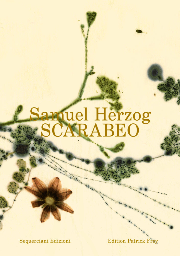Scarabeo (DE) (Samuel Herzog)