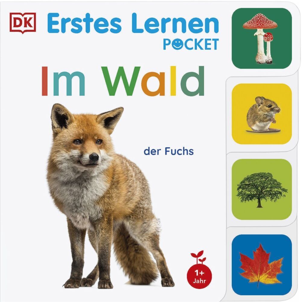 Erstes Lernen Pocket. Im Wald (Dk Erstes Lernen)