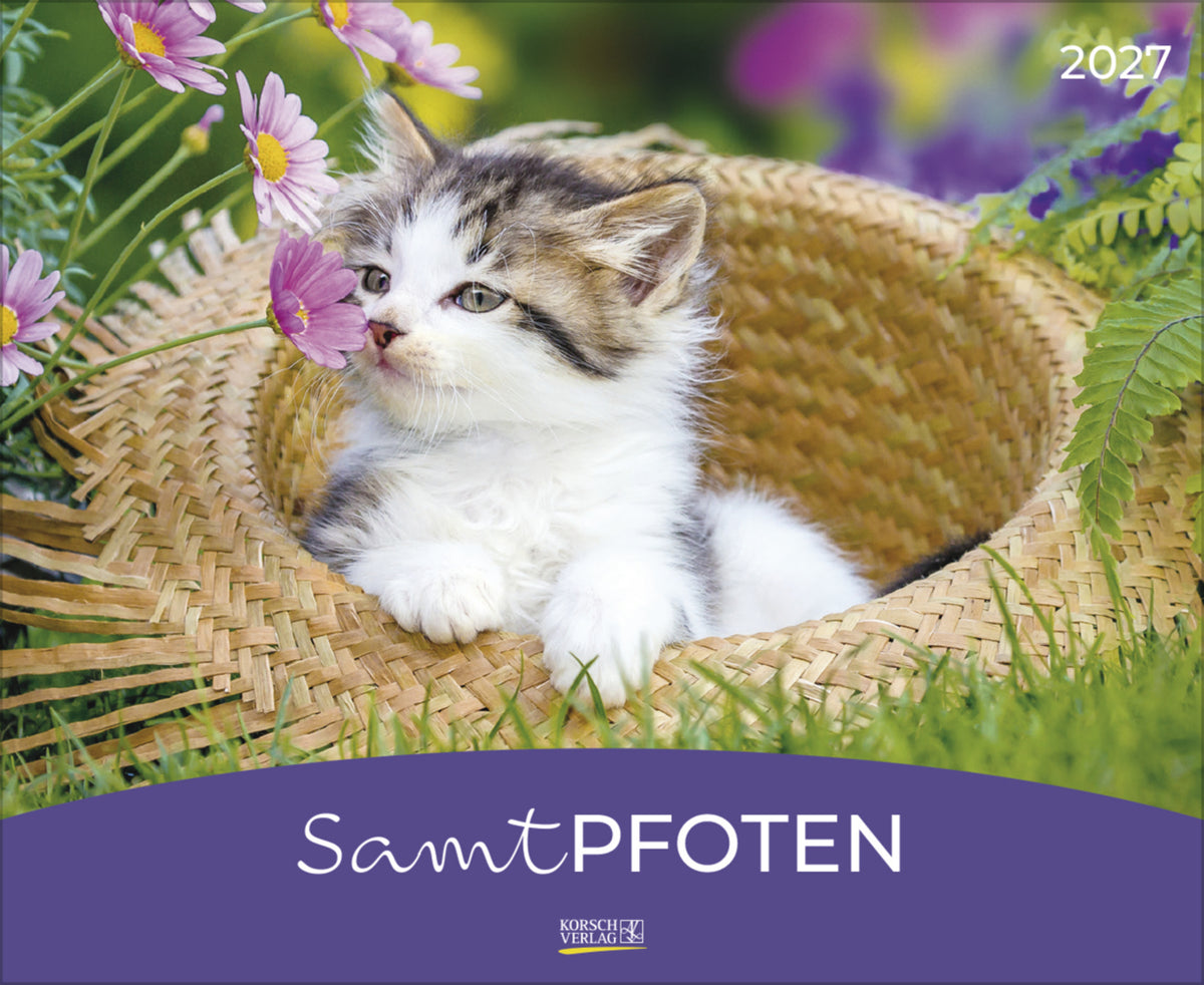 Samtpfoten 2027 (Korsch Verlag)