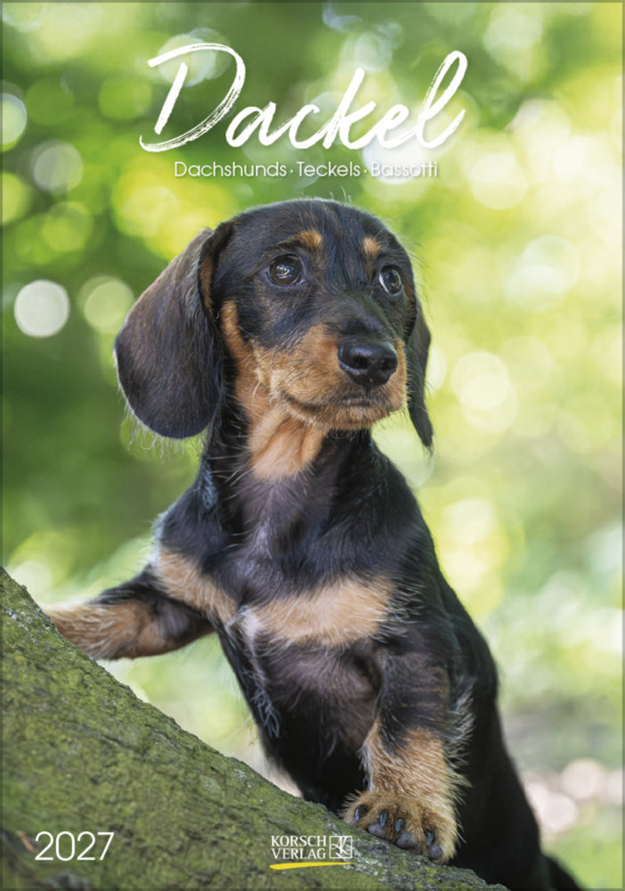 Dackel 2027 (Korsch Verlag)
