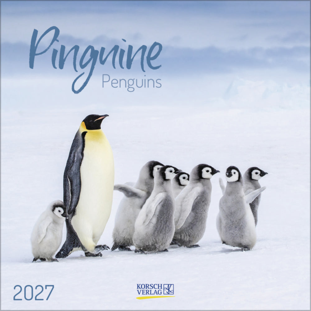 Pinguine 2027 (Korsch Verlag)