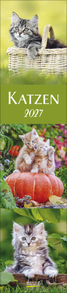 Katzen Langplaner 2027 (Korsch Verlag)