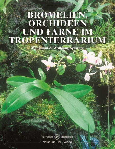 Bromelien, Orchideen und Farne im Tropenterrarium (Benjamin Schwarz)