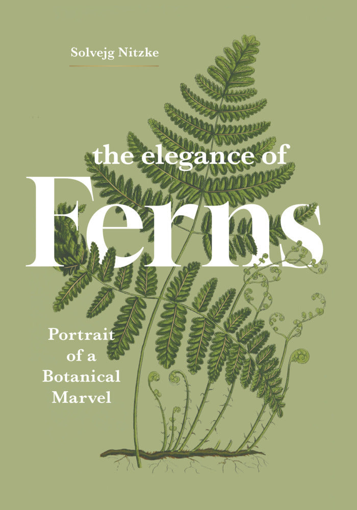 The Elegance of Ferns (Solvejg Nitzke)