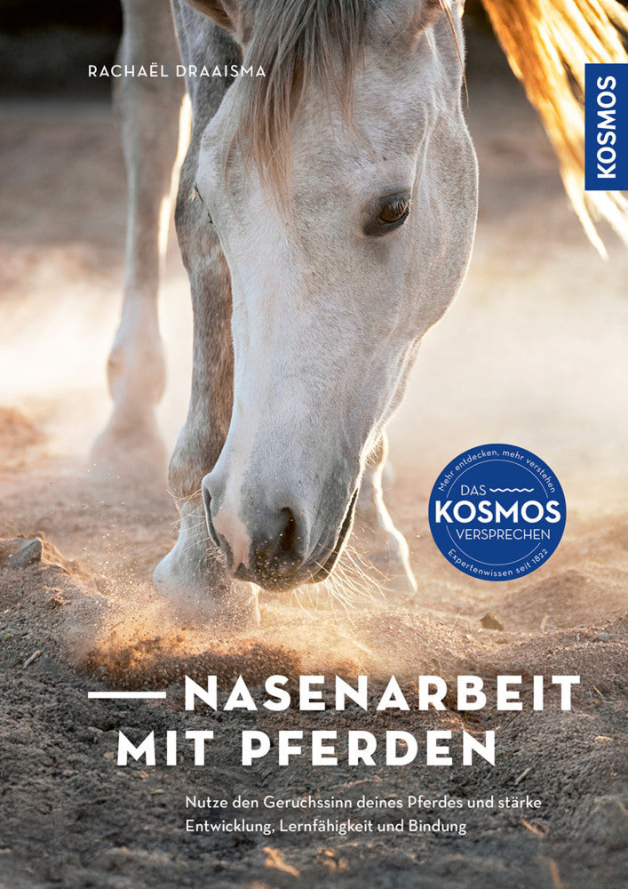 Nasenarbeit mit Pferden (Rachael Draaisma)