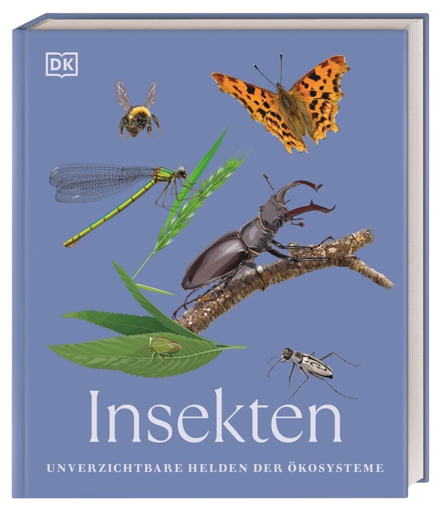 Insekten (Dk Verlag)