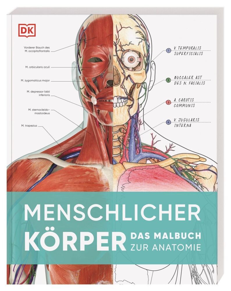 Menschlicher Körper (Dk Verlag)