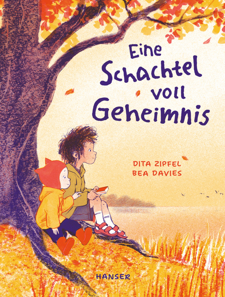 Eine Schachtel voll Geheimnis (Dita Zipfel)