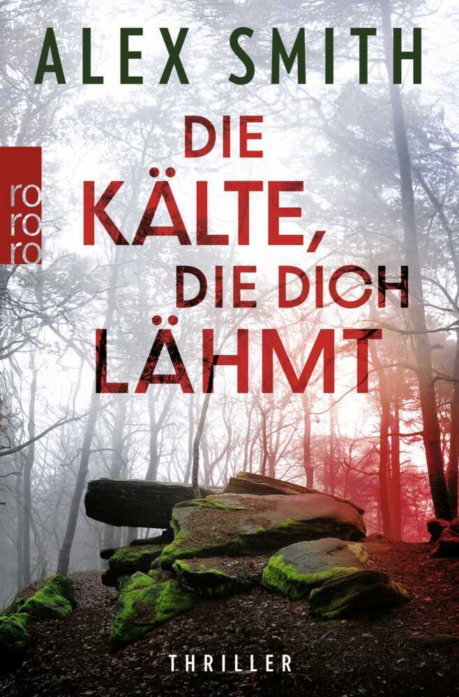 Die Kälte, die dich lähmt (Alex Smith)