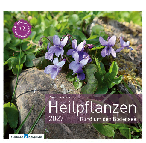Heilpfanzen rund um den Bodensee 2027 (Evelyn Lochmaier)