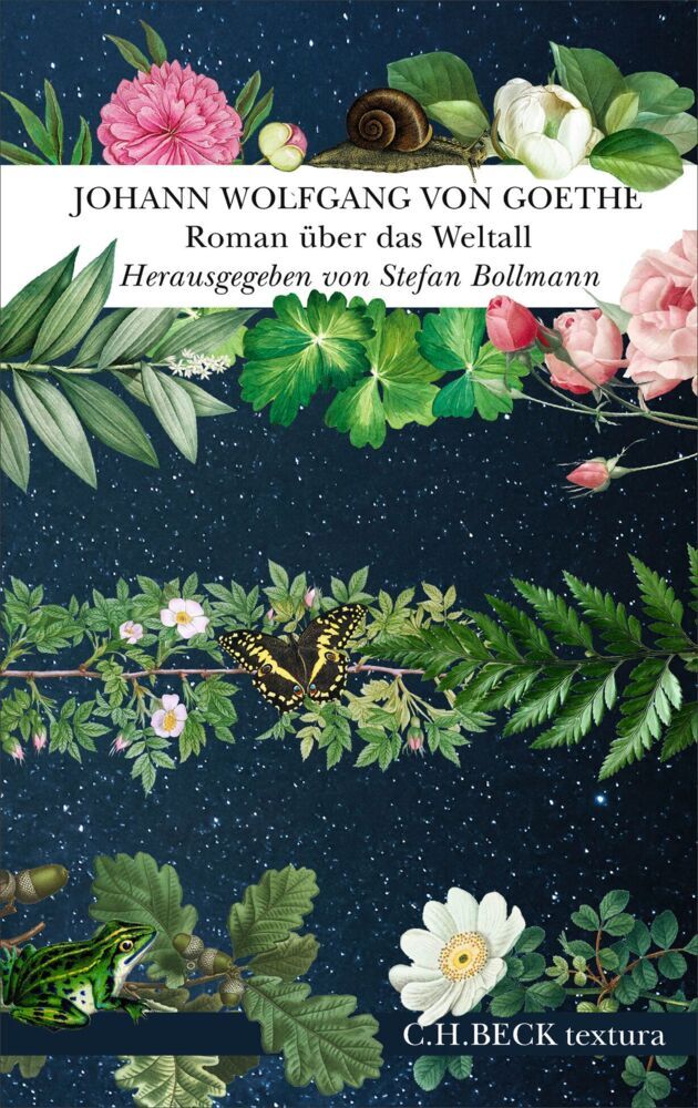Roman über das Weltall (Johann Wolfgang Von Goethe)