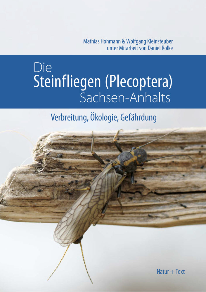 Die Steinfliegen (Plecoptera) Sachsen-Anhalts (Mathias Dr. Hohmann)