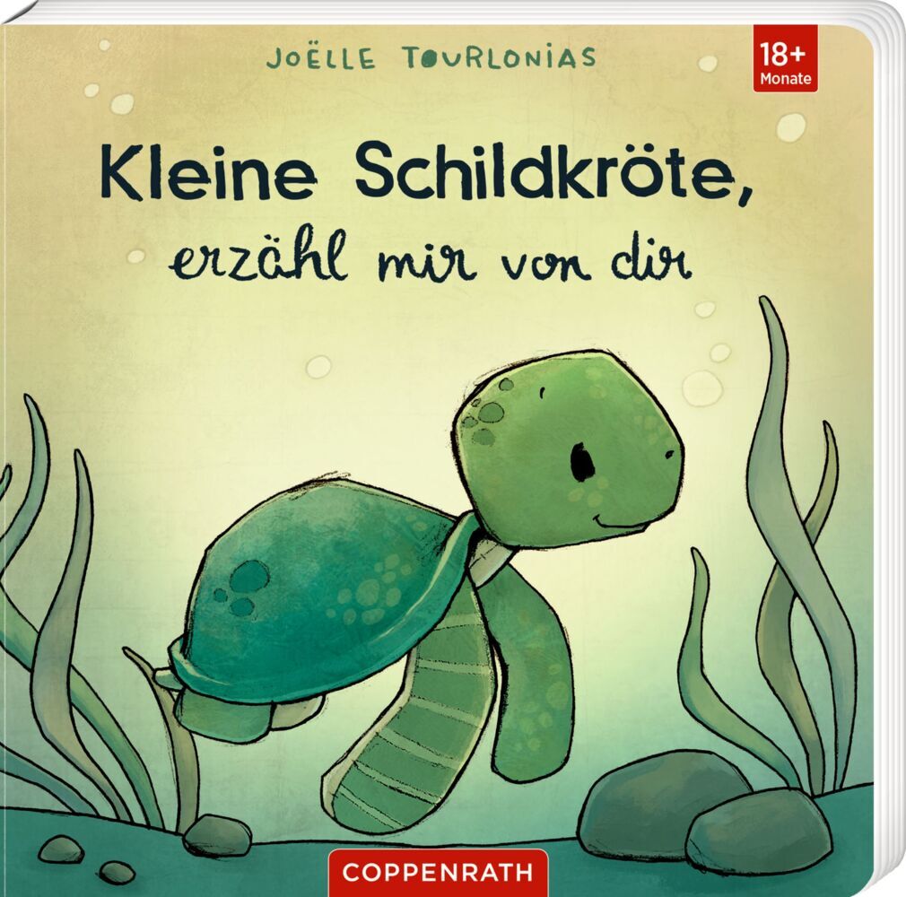 Kleine Schildkröte, erzähl mir von dir (Joëlle Tourlonias)