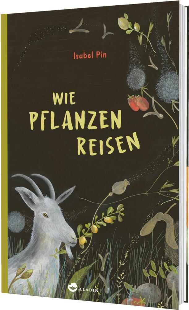 Wie Pflanzen reisen (Isabel Pin)