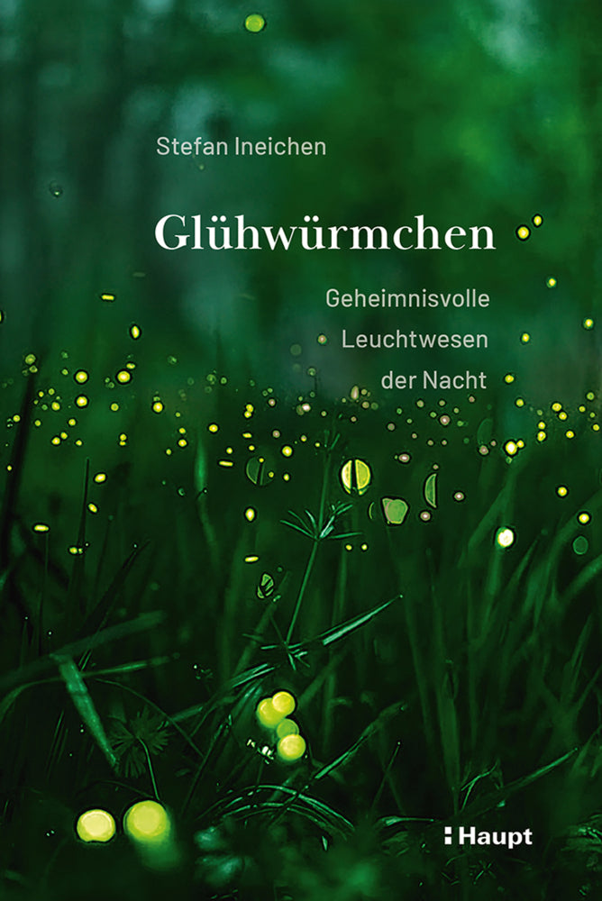 Glühwürmchen (Stefan Ineichen)