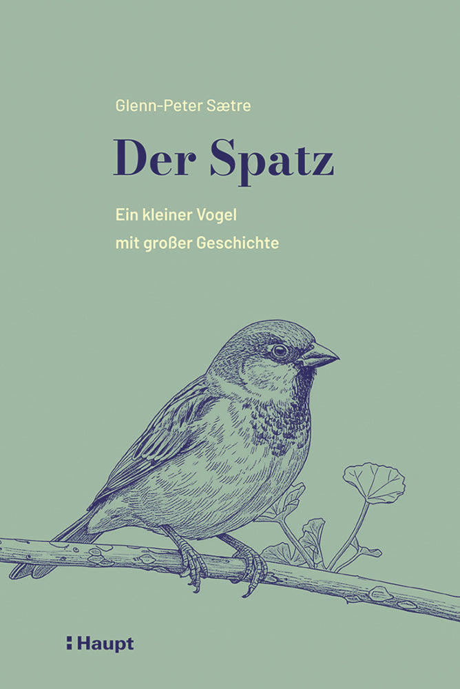 Der Spatz (Glenn-Peter Sætre)