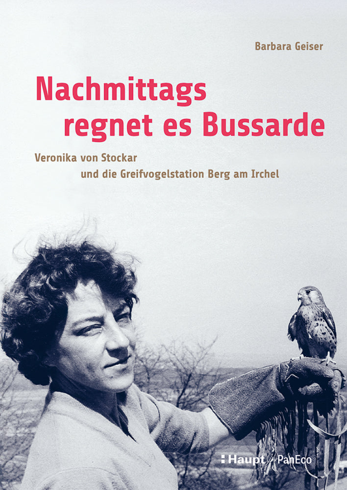 Nachmittags regnet es Bussarde (Barbara Geiser)