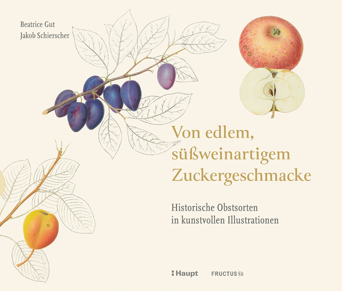 Von edlem, süßweinartigem Zuckergeschmacke (Beatrice Gut)