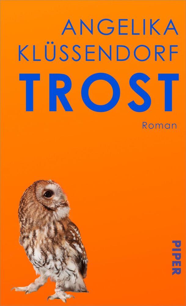 Trost (Angelika Klüssendorf)