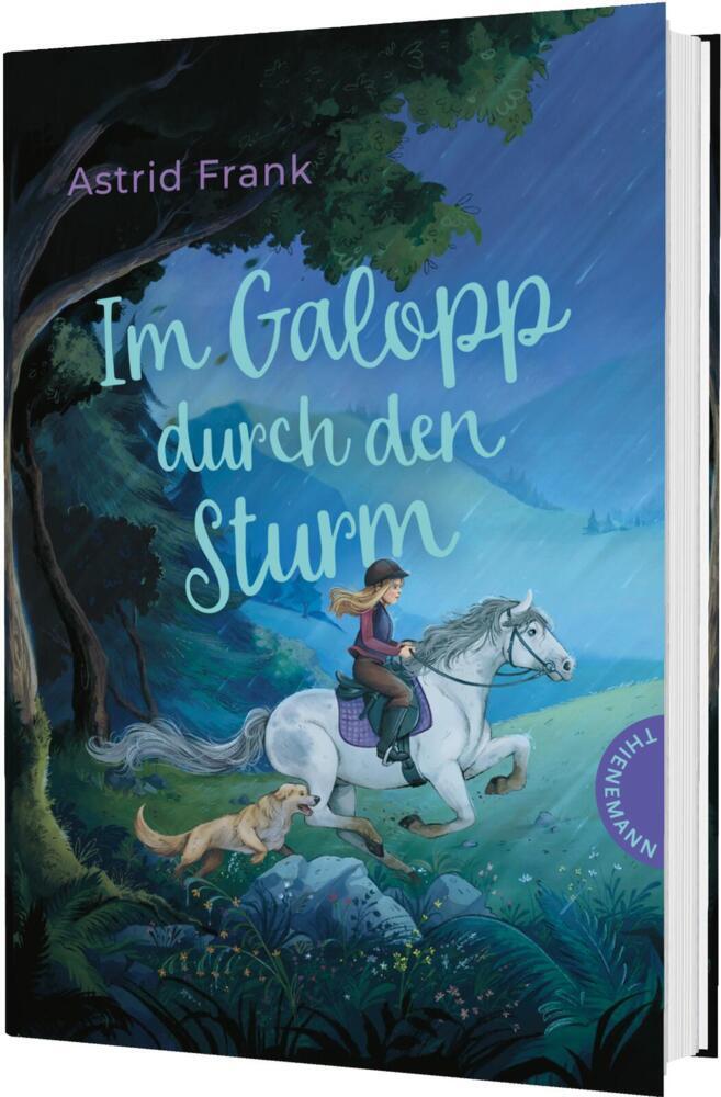 Im Galopp durch den Sturm (Astrid Frank)